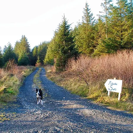 The Wonderly Wagon Kamp alanı *