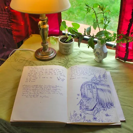 Camping The Wonderly Wagon *