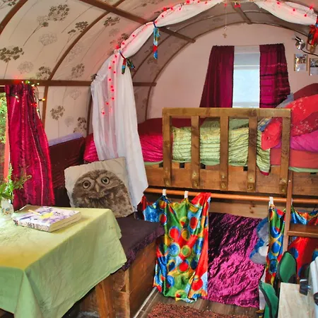 The Wonderly Wagon Fintown