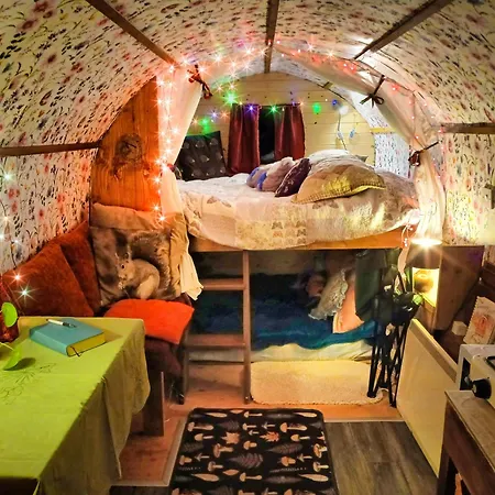 The Wonderly Wagon Kamp alanı