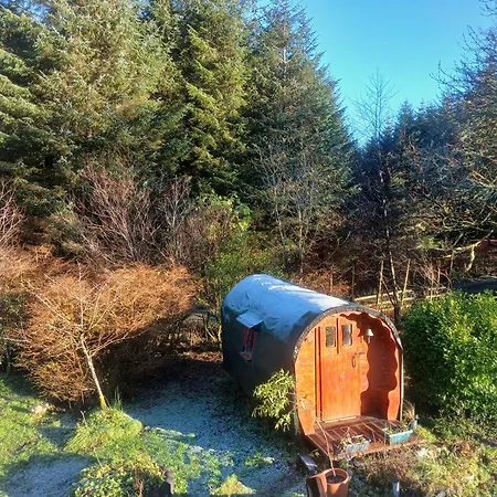 The Wonderly Wagon Fintown