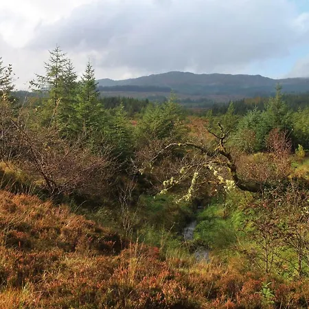 The Wonderly Wagon Fintown