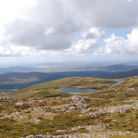 The Wonderly Wagon 营地 *