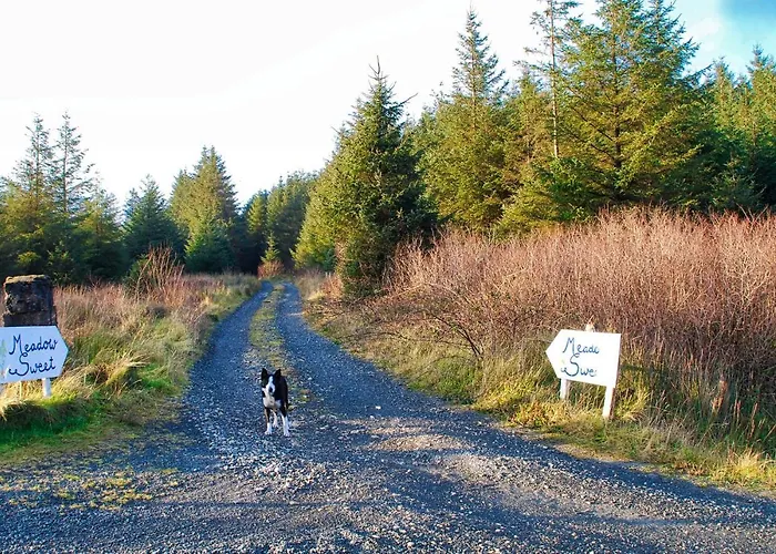 The Wonderly Wagon Kemping *