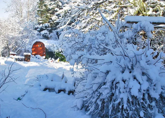 The Wonderly Wagon Camping Fintown