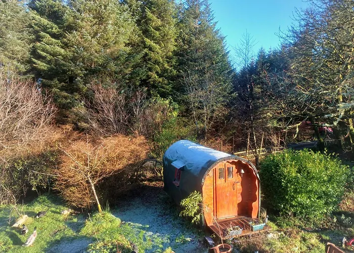 The Wonderly Wagon Fintown