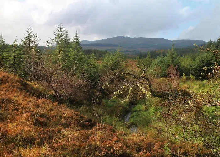 The Wonderly Wagon Fintown