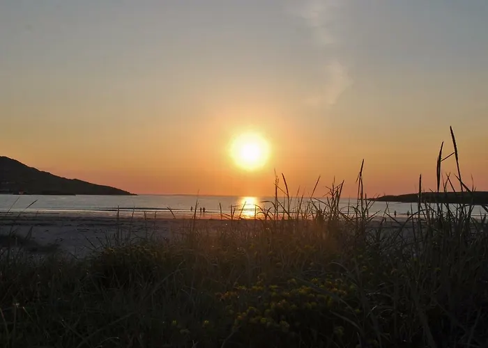 Camping The Wonderly Wagon